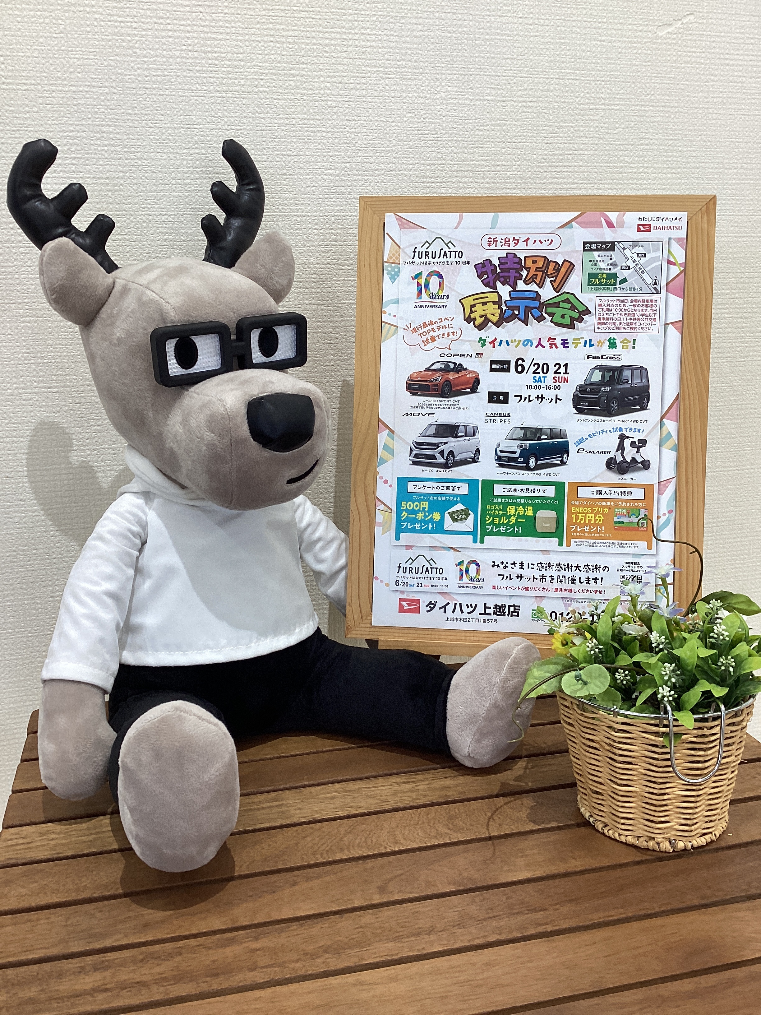 🚘お知らせ🚘